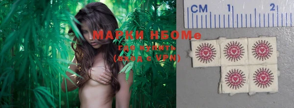 хмурый Дмитров