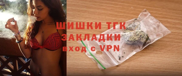 хмурый Дмитров