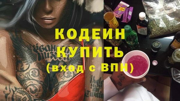 спиды Дмитриев