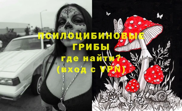 спиды Дмитриев