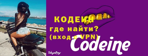 хмурый Дмитров