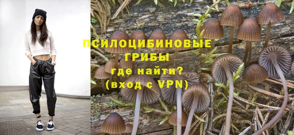 спиды Дмитриев