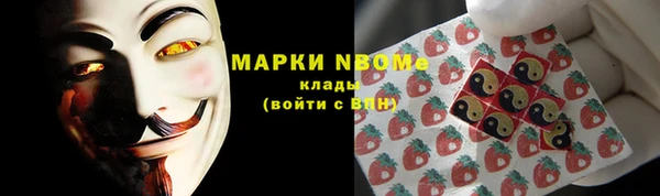 хмурый Дмитров