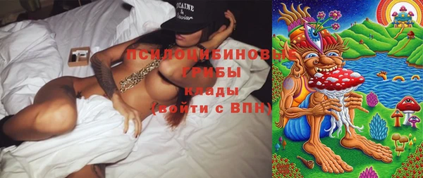 хмурый Дмитров