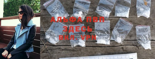 хмурый Дмитров