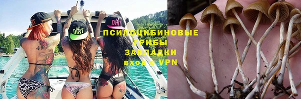 хмурый Дмитров