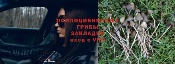 спиды Дмитриев