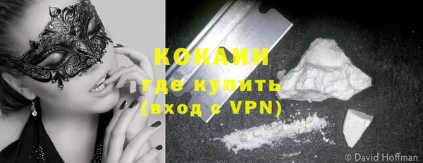 хмурый Дмитров