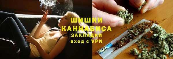 хмурый Дмитров