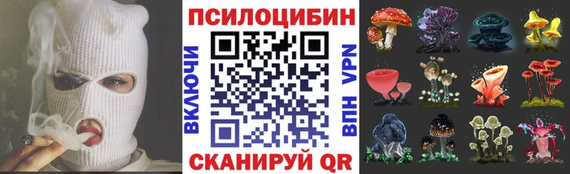 Галлюциногенные грибы прущие грибы  Купить закладки  Кяхта 