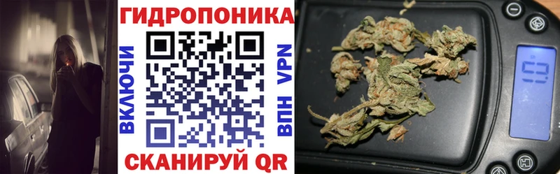 Купить закладки  Кяхта  Конопля AK-47 